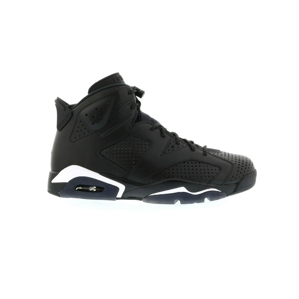 Air Jordan 6 Retro Black Cat 384664-020