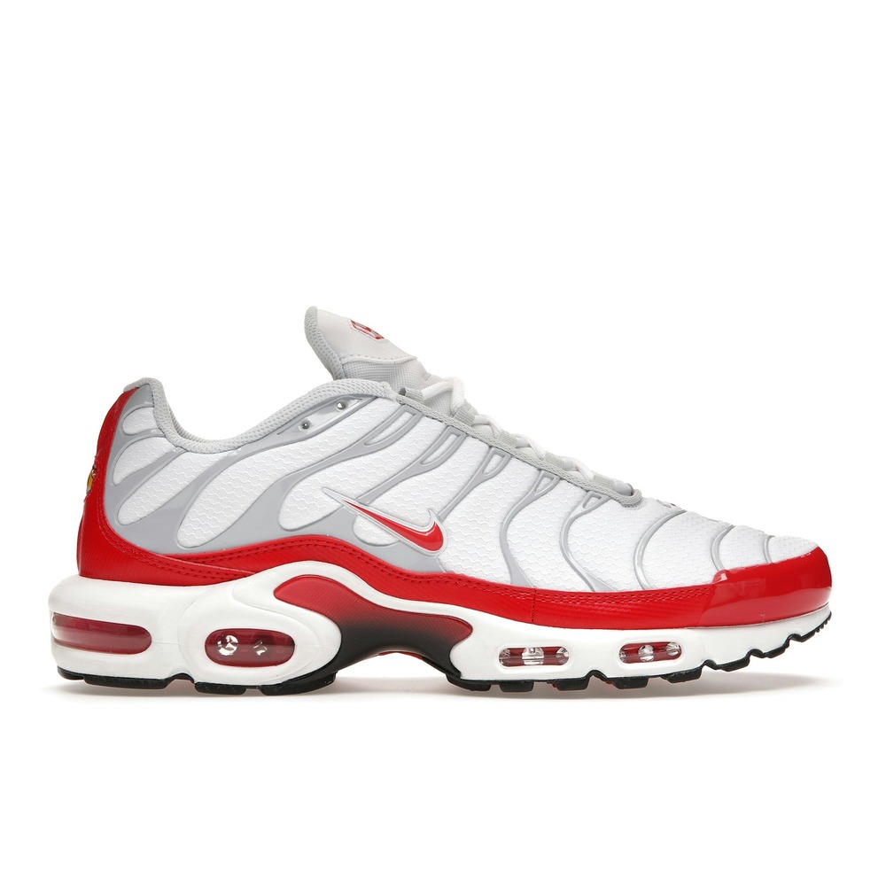 Nike Air Max Plus Air Max 1 DM8332-100