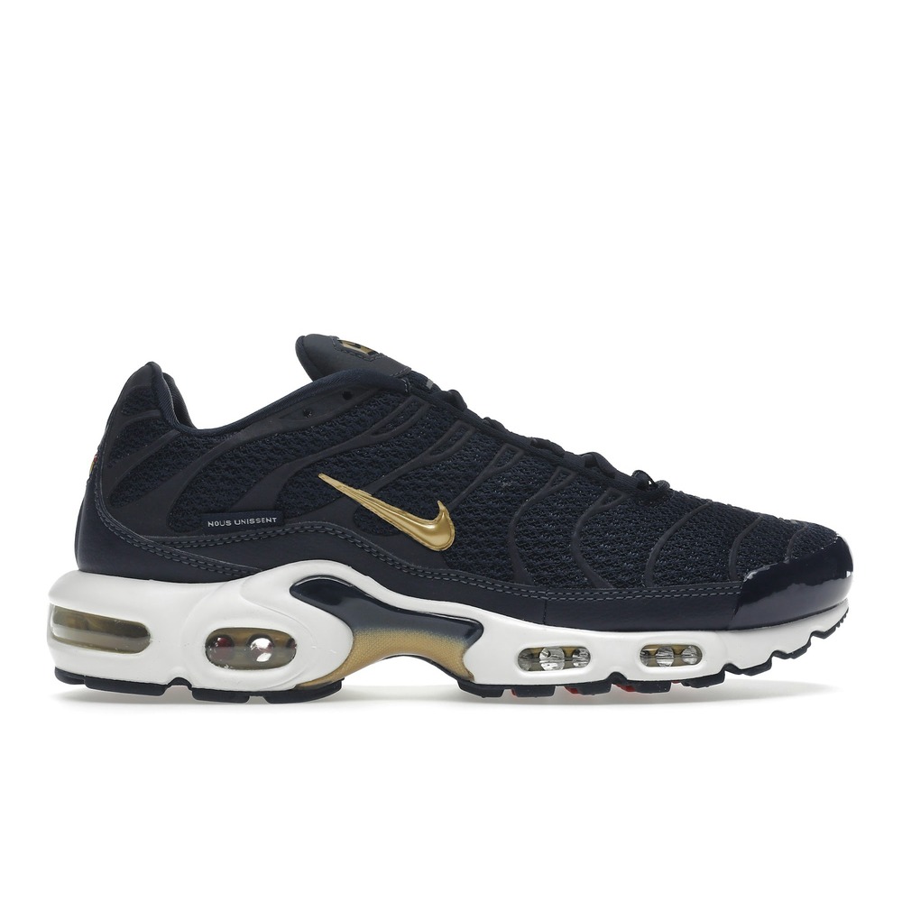 Nike Air Max Plus French Football Federation FB3350-400