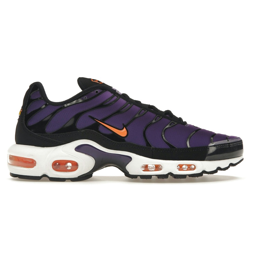 Nike Air Max Plus OG Voltage Purple (2024) DX0755-500